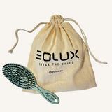 Cepillo Anti-Frizz - 1 Unidad